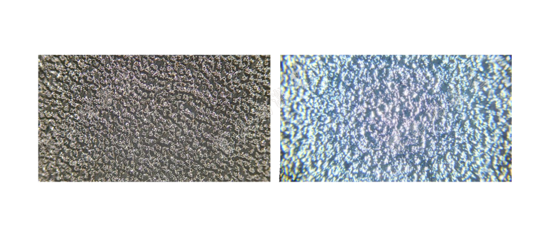 激光毛化与EDT对比